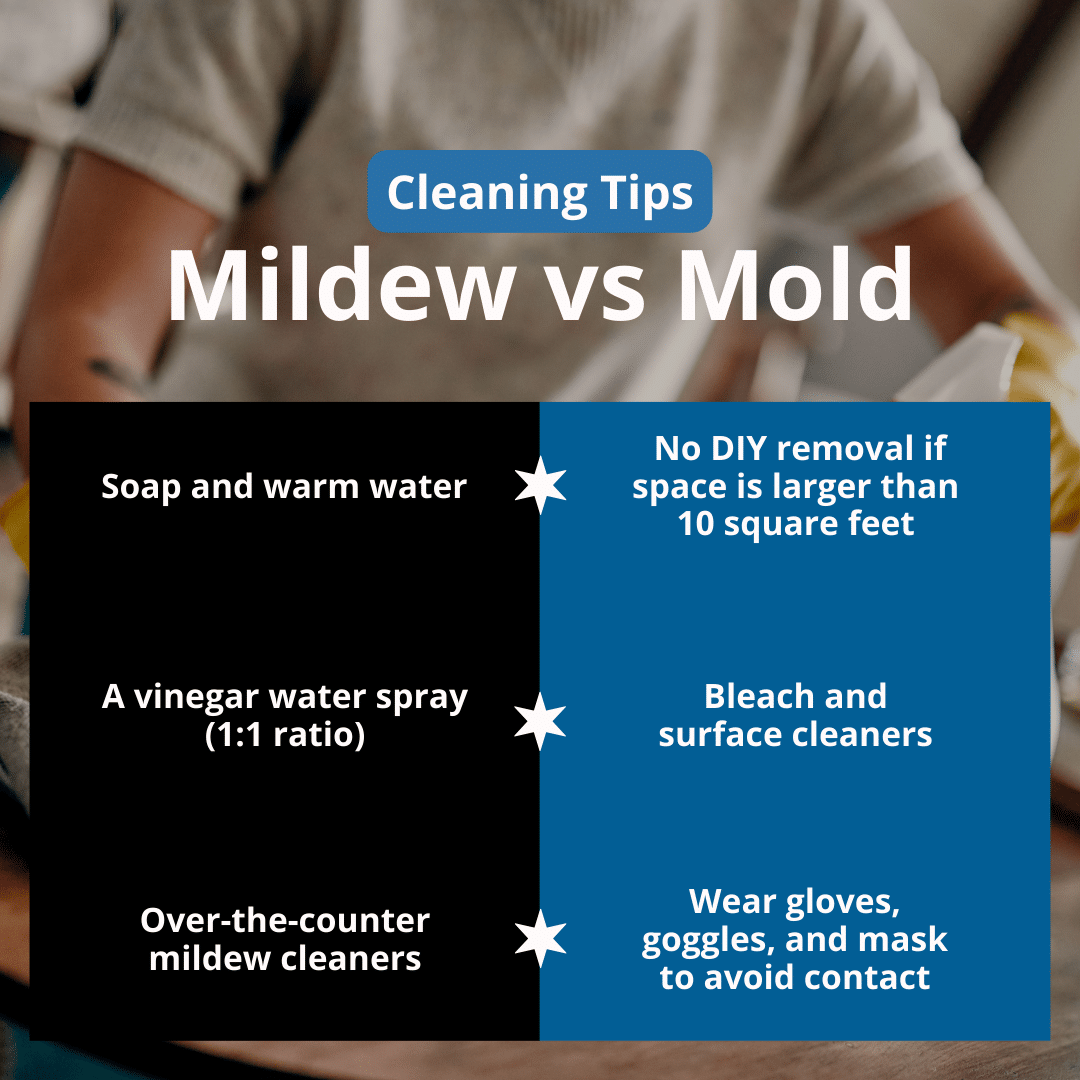 mold and mildew cleaning tips