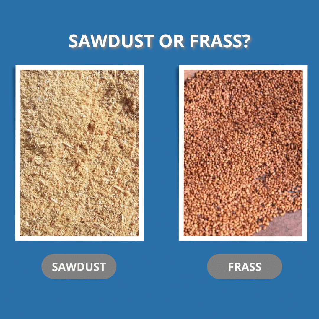 frass vs termite droppings