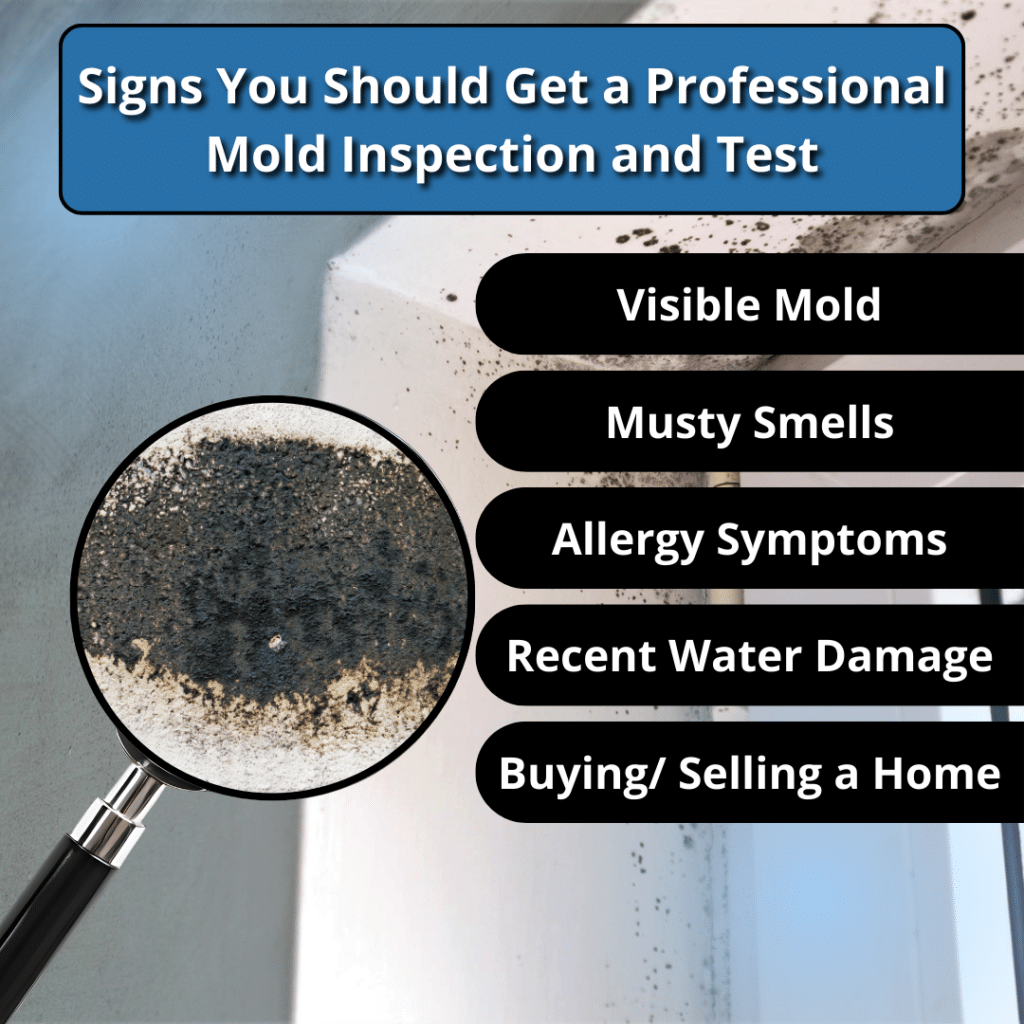Clear Signs of Mold in Your House and When to Get an Inspection | Q&A ...