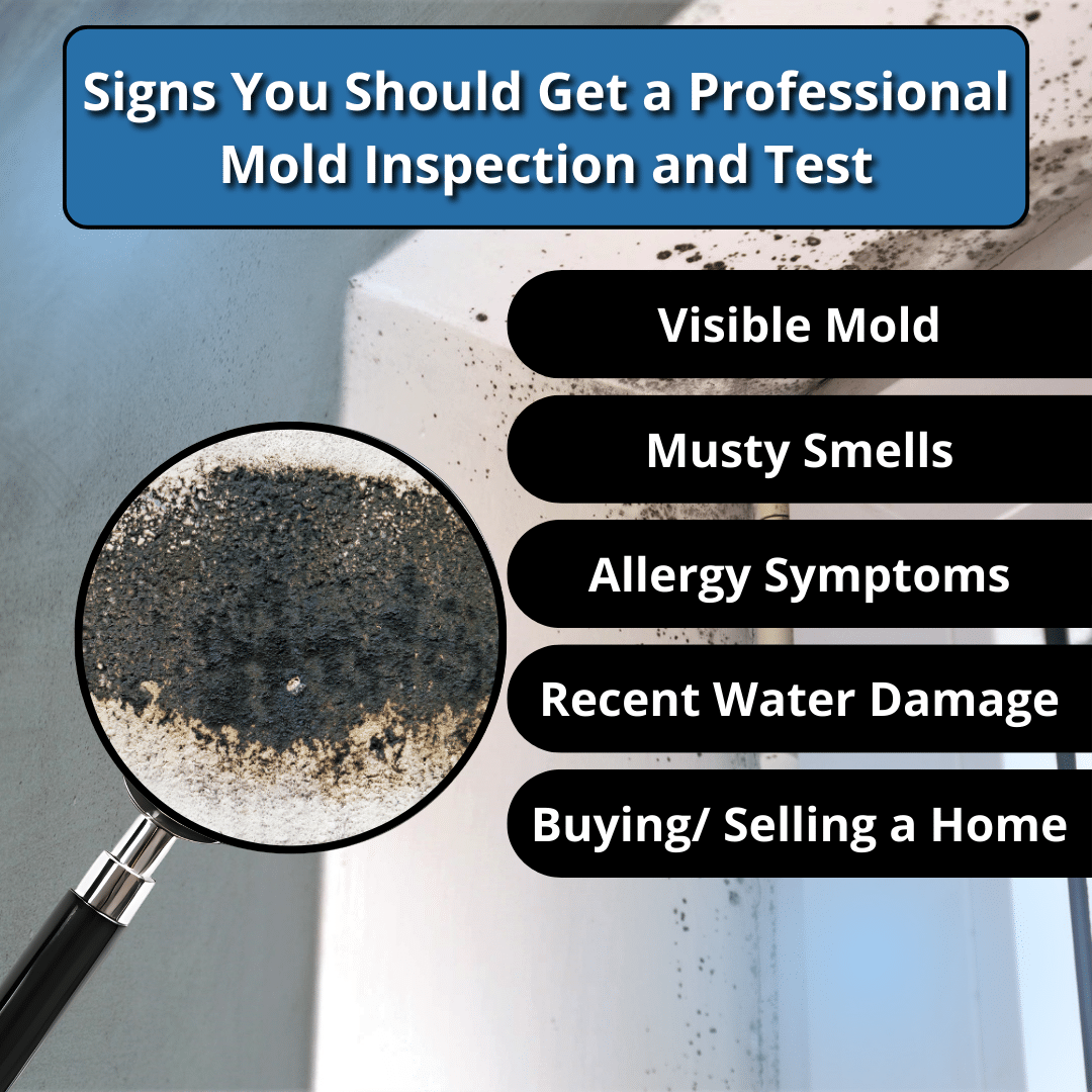 signs you should get a professional inspection