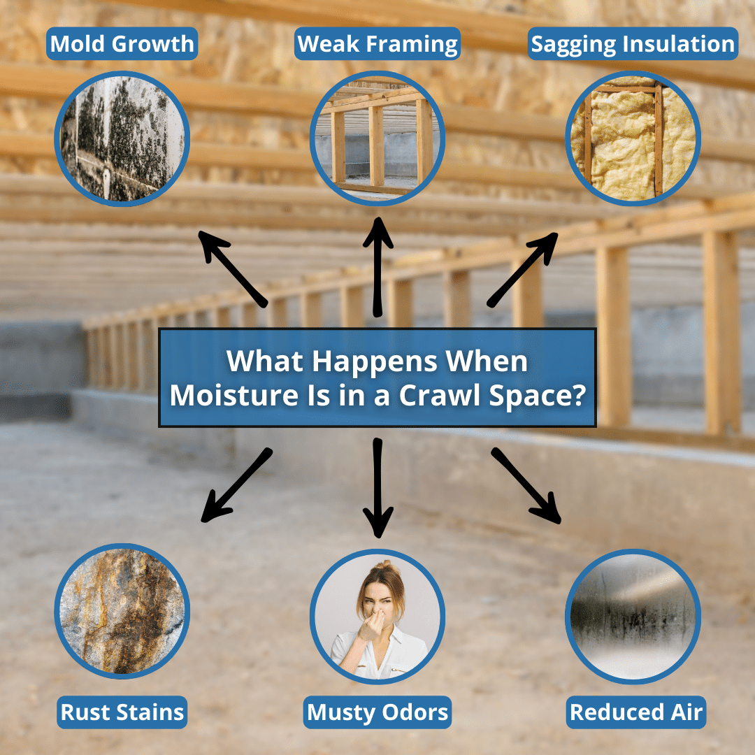 what happens when moisture is in a crawl space